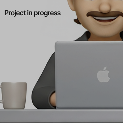 project in progres image